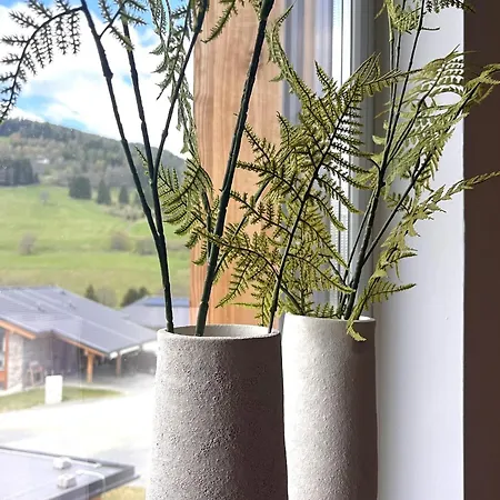 Modern With Sauna Sankt Lambrecht